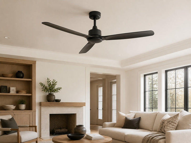 Ceiling fans
