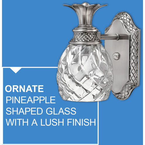 Hinkley Plantation 1-Light Wall Sconce - Polished Antique Nickel