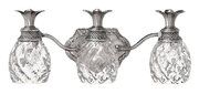 Hinkley Plantation vanity light with three clear pineapple-shaped shades in polished antique nickel.