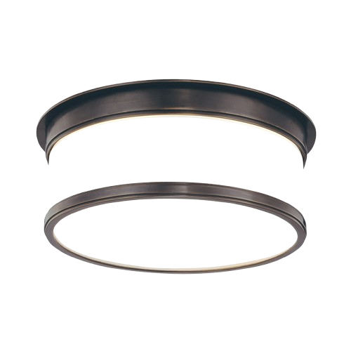 Geneva By Hudson Decorative Ceiling Light