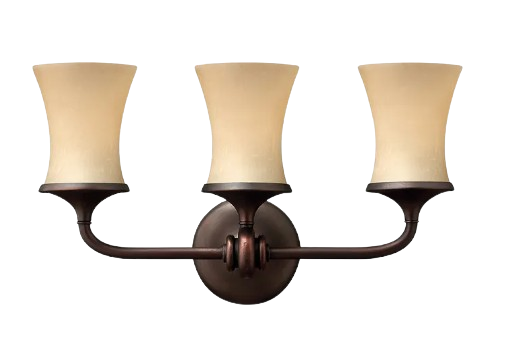 Hinkley Thistledown 3-Light Vanity Light in Victorian Bronze