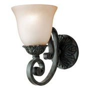 Quoizel Barrington BA8701 one-light wall sconce in Shadow Mist