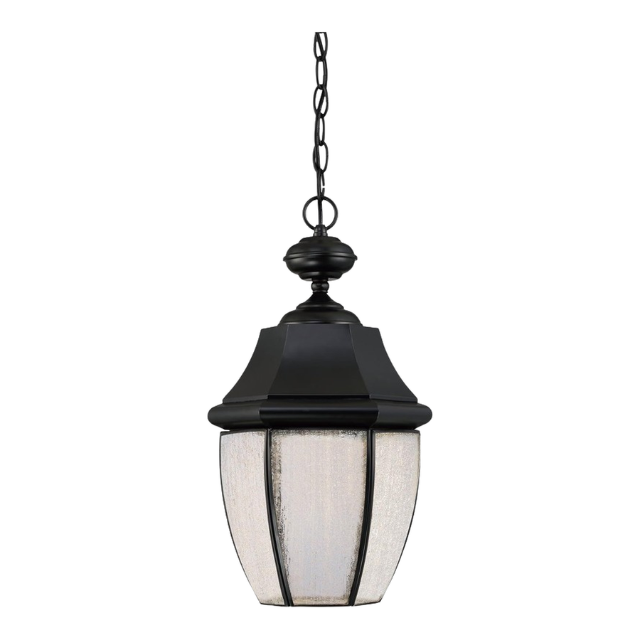 Newbury outdoor lantern with chain suspension and a shaped roof