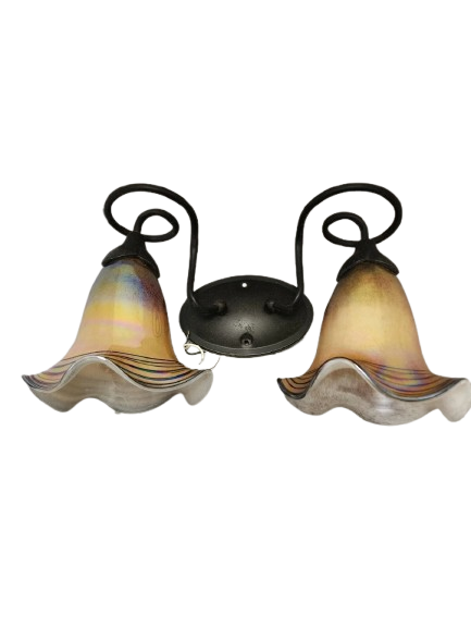 Quoizel Todd Phillips Double Light Wall Mount Art Glass Light