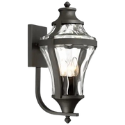 Libre Coal wall lantern with curved clear glass and candle-style lights